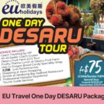 One Day DESARU Package