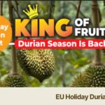 EU Holiday Durian Day Tour $80