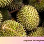 1 day durian tour