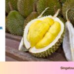 Singatour 2D1N Batam Durian